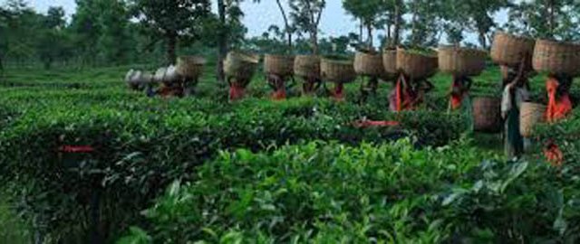 [:en]tour_package_1399878282[:]