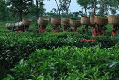 [:en]tour_package_1399878282[:]