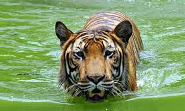 tourism_spot_1401775853