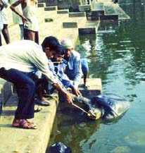 tourism_spot_1401807157